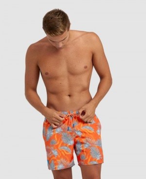 Biancheria Intima Uomo Arena Allover Beach Boxer Grigie Colorate | 48253GPUN