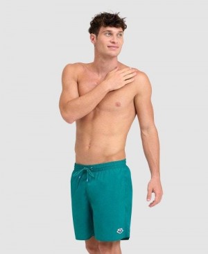 Biancheria Intima Uomo Arena Icons Solid Boxer Verdi | 81745YTKQ