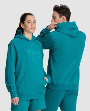 Maglioni Donna Arena Logo Hooded Sweatshirt Colorate | 36472PAZU