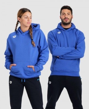 Maglioni Donna Arena Team Hooded Sweatshirt Panel Blu Reale | 19273OZLJ