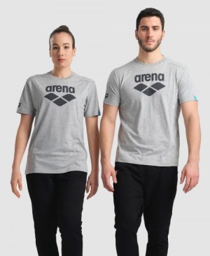 Pantaloncini Uomo Arena Logo Cotton T-shirt Grigie | 43205RDYT