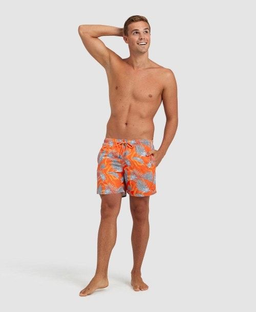 Biancheria Intima Uomo Arena Allover Beach Boxer Grigie Colorate | 48253GPUN