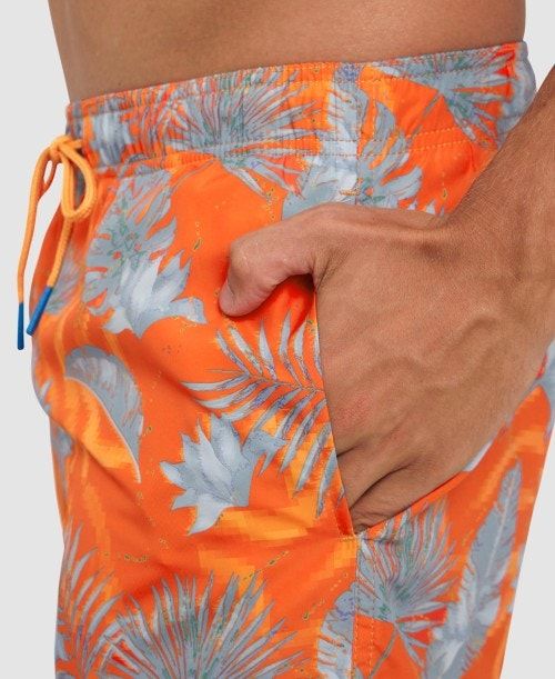 Biancheria Intima Uomo Arena Allover Beach Boxer Grigie Colorate | 48253GPUN