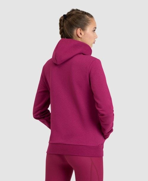 Giacche Donna Arena Team Hooded Jacket Panel Rosse | 93478IEVY