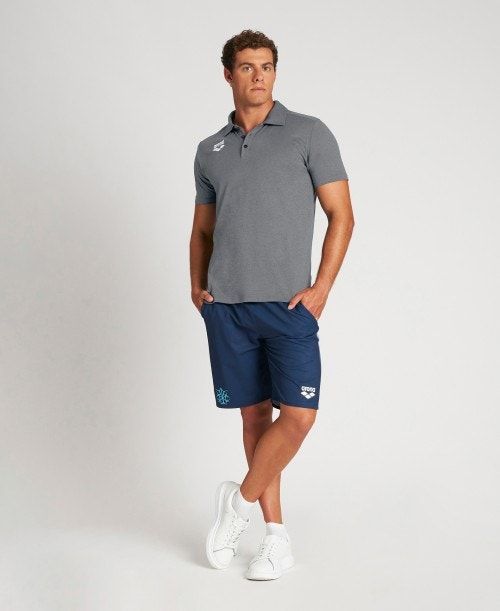 Magliette Polo Uomo Arena Usa Tech Polo Grigie | 02183WOLP