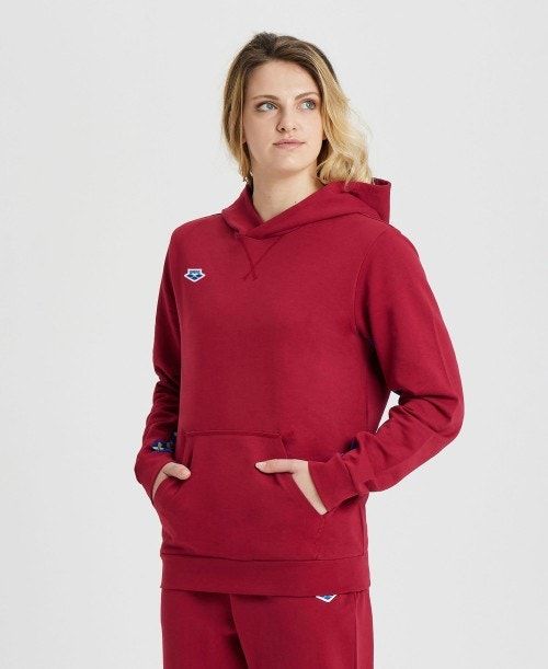 Maglioni Donna Arena Icons Solid Hooded Sweatshirt Bordeaux Blu | 37245NSXQ