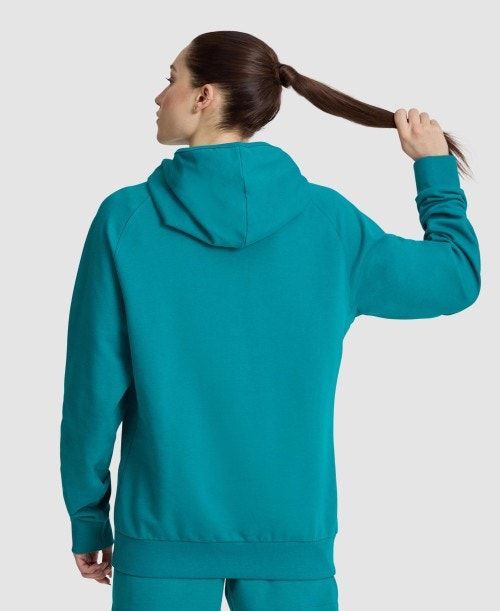 Maglioni Donna Arena Logo Hooded Sweatshirt Colorate | 36472PAZU