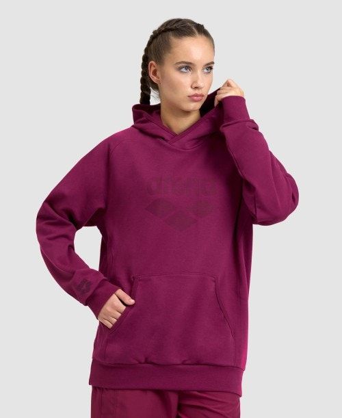 Maglioni Donna Arena Logo Hooded Sweatshirt Colorate | 84571MZPJ