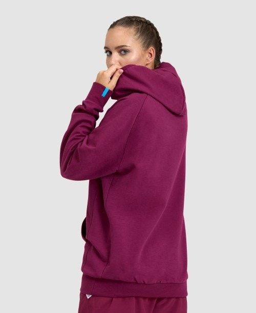 Maglioni Donna Arena Logo Hooded Sweatshirt Colorate | 84571MZPJ