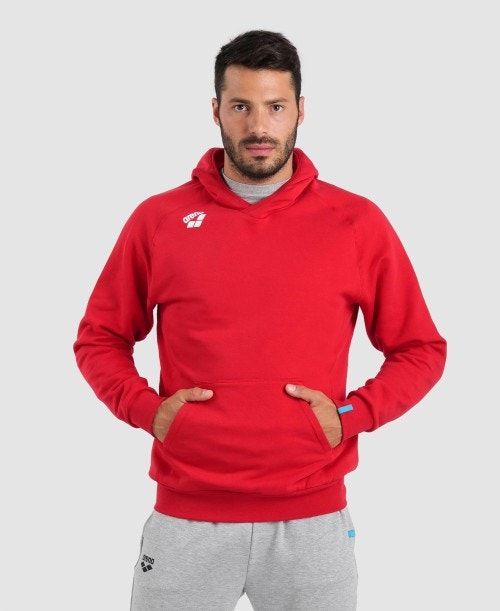 Maglioni Donna Arena Team Hooded Sweatshirt Panel Rosse | 84526VTMB