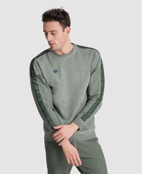 Maglioni Uomo Arena Icons Oversize Sweatshirt Colorate | 46918IMQE