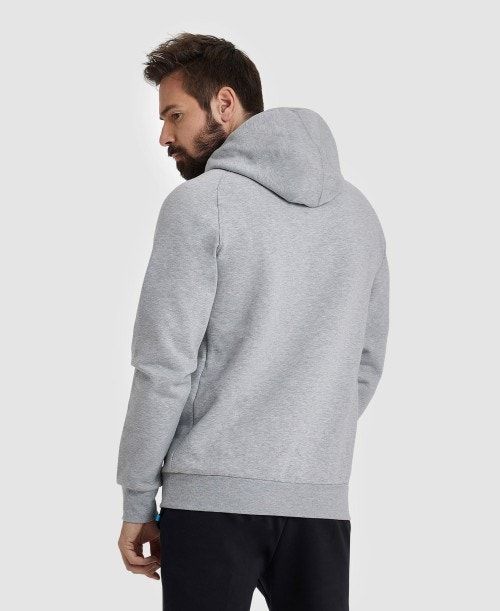 Maglioni Uomo Arena Logo Hooded Sweatshirt Colorate | 17586NCWK