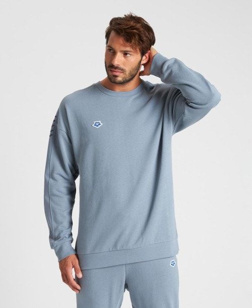 Maglioni Uomo Arena Oversized Team Sweatshirt Grigie Grigie | 95061CVEJ