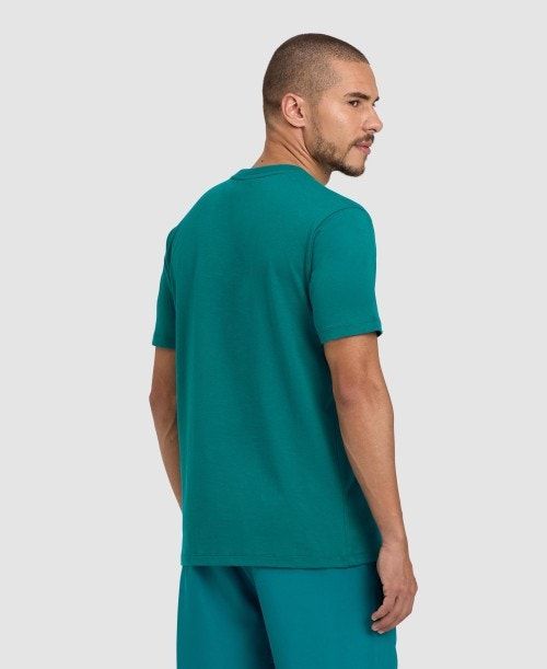 Pantaloncini Donna Arena Team T-shirt Panel Verdi | 93062LQVC