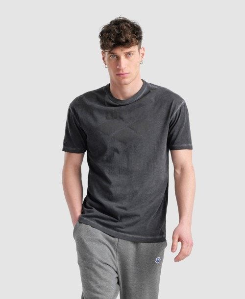 Pantaloncini Uomo Arena Icons T-shirt Colorate | 01786XMVQ