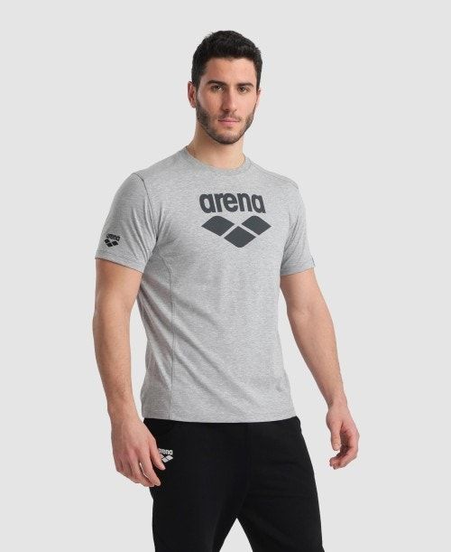 Pantaloncini Uomo Arena Logo Cotton T-shirt Grigie | 43205RDYT