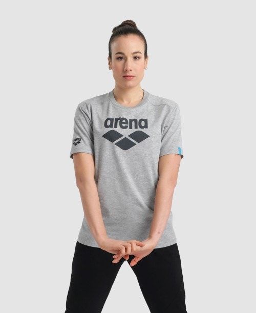 Pantaloncini Uomo Arena Logo Cotton T-shirt Grigie | 43205RDYT