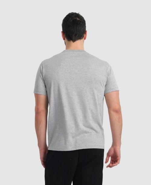 Pantaloncini Uomo Arena Logo Cotton T-shirt Grigie | 43205RDYT