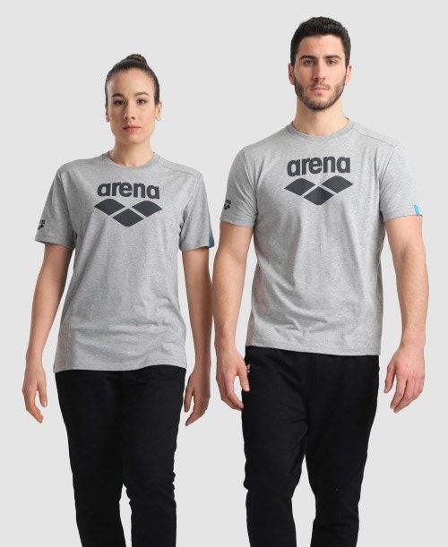 Pantaloncini Uomo Arena Logo Cotton T-shirt Grigie | 43205RDYT