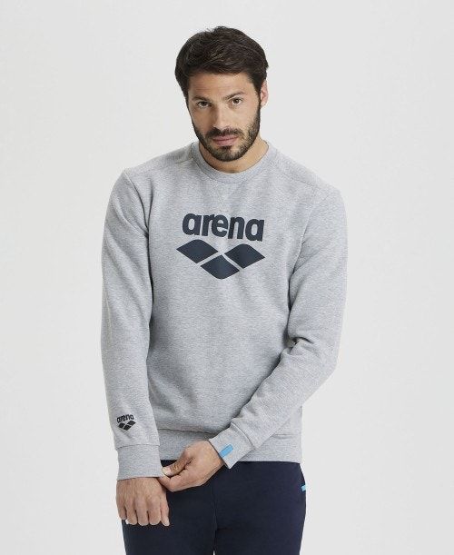 Pullover Uomo Arena Logo Crewneck Grigie | 81205DUTM