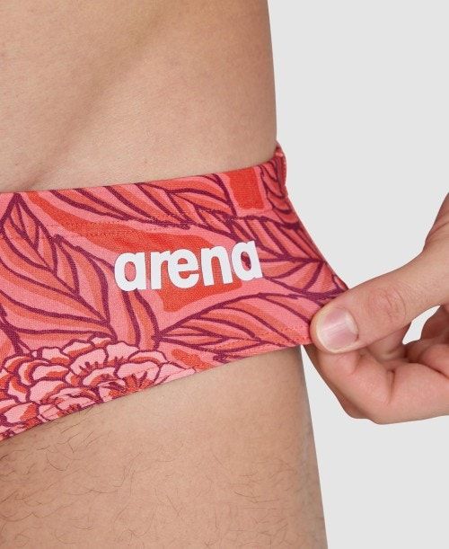 Slip Uomo Arena Hydrange Bouquet Brief Colorate | 92043PVQT